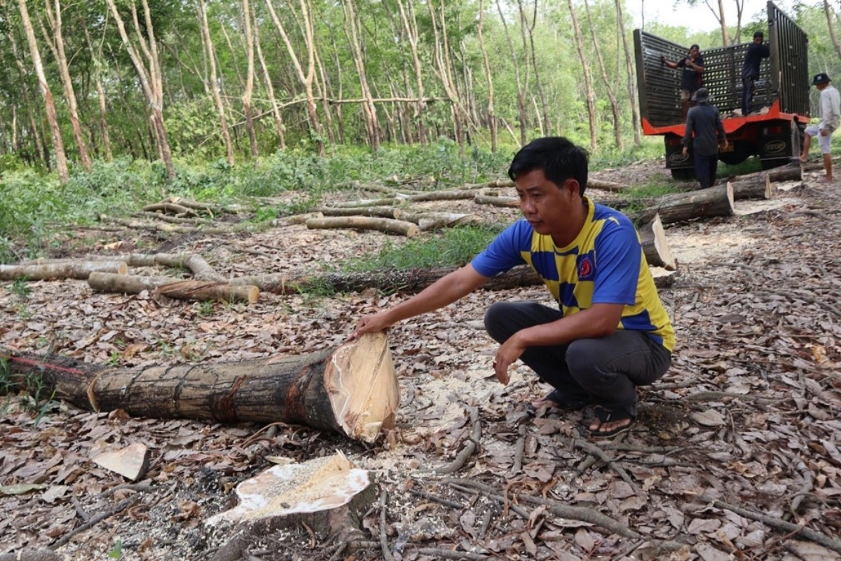 Hơn 300 tỉ đồng giải phóng mặt bằng làm cao tốc TP HCM – Thủ Dầu Một – Chơn Thành qua Đồng Nai